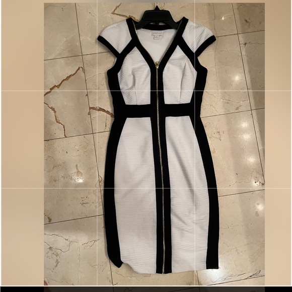 White House Black Market Black and White Sleeveless V-Neck Mini Dress - Picture 3 of 10